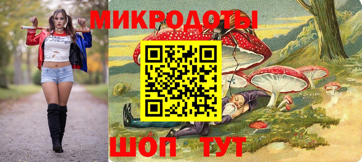 Псилоцибиновые грибы Psilocybe Надым
